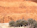 201124 ArchesHike DSC07028