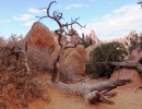 201124 ArchesHike DSC07054 DoubleOArch