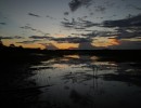 DSC05188 Amazon3