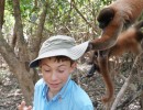 DSC05389 MonkeyHat04