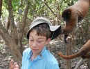 DSC05390 MonkeyHat05