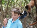 DSC05391 MonkeyHat06