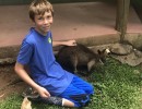 171216dE KurandaAnimalParkDashKangaroo 108DaintreeParkKangaroo