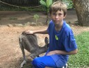 171216dE KurandaAnimalParkDashKangaroo 125DaintreeParkKangaroo